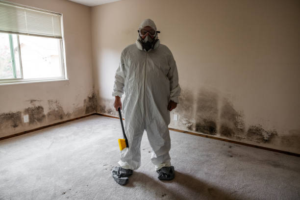 Mold Removal Process in Farmland, IN